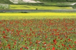 castelluccio2800