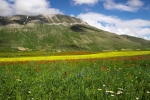 castelluccio800