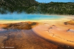 Yellowstone1